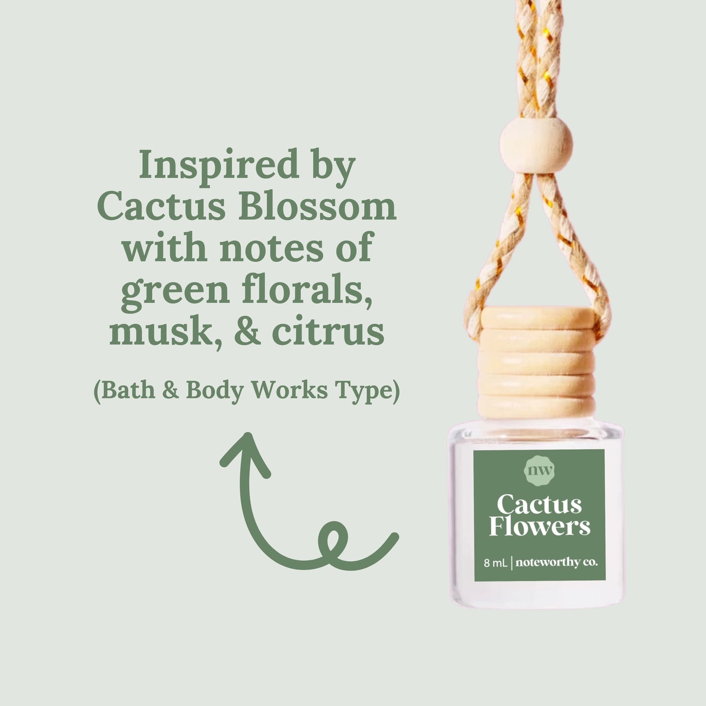 Car Diffuser-Cactus Flowers