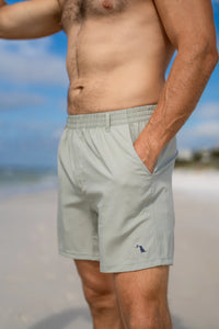 Local Boy Volley Shorts in Cool Gray