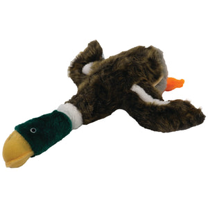 Local Boy Duck Dog Toy