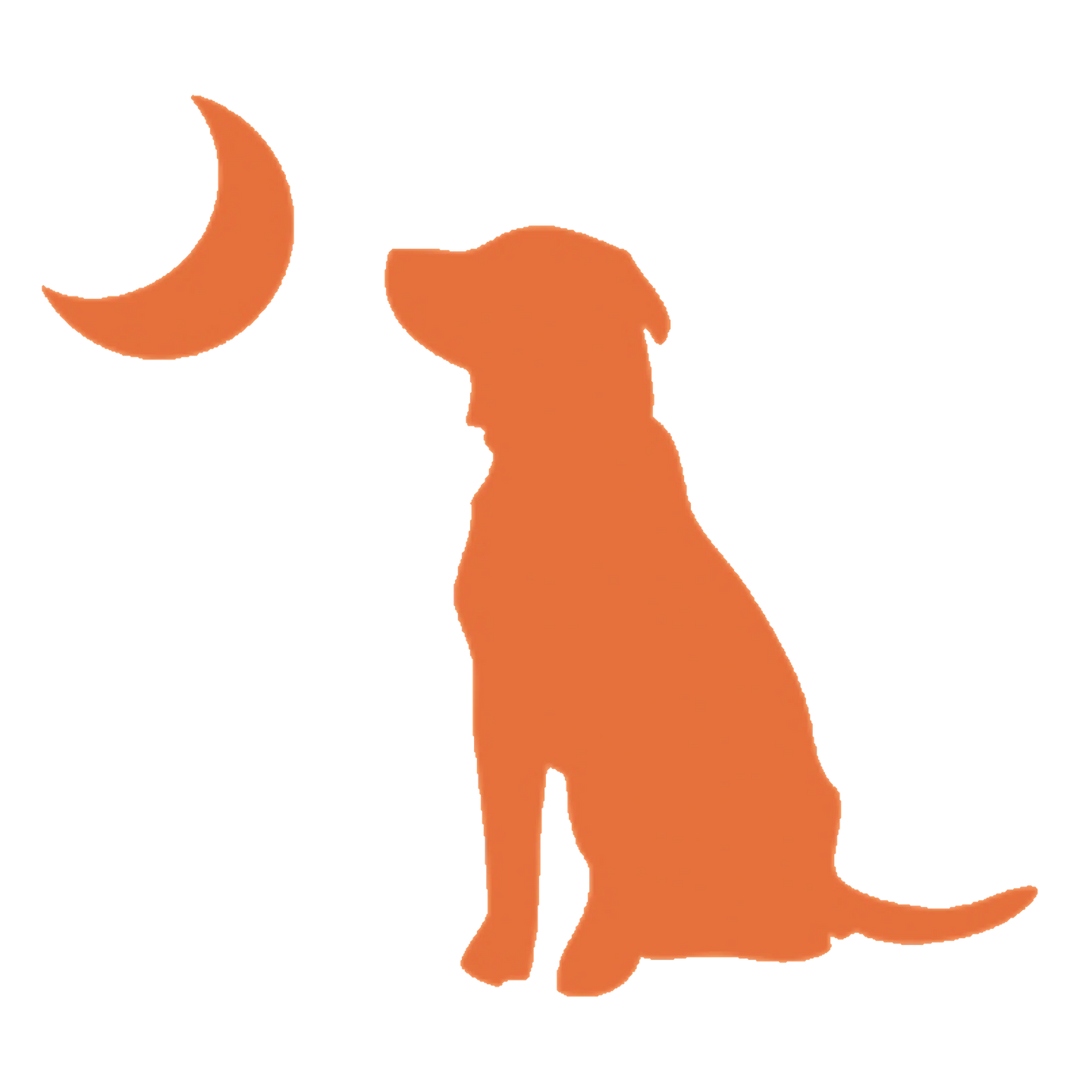 Local Boy Dog & Moon Decal Orange